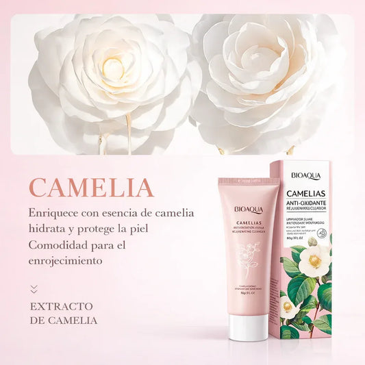JABON LIMPIADOR EXFOLIANTE EXTRACTO DE CAMELIA
