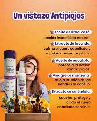 Ingredientes_antipiojos - Moni beauté